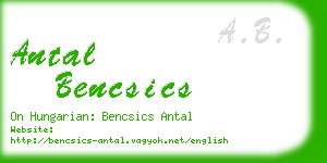 antal bencsics business card